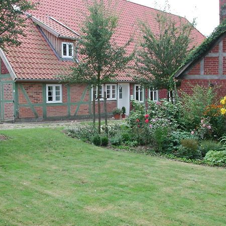 Ferienwohnung Am Elbdeich Bleckede Ngoại thất bức ảnh